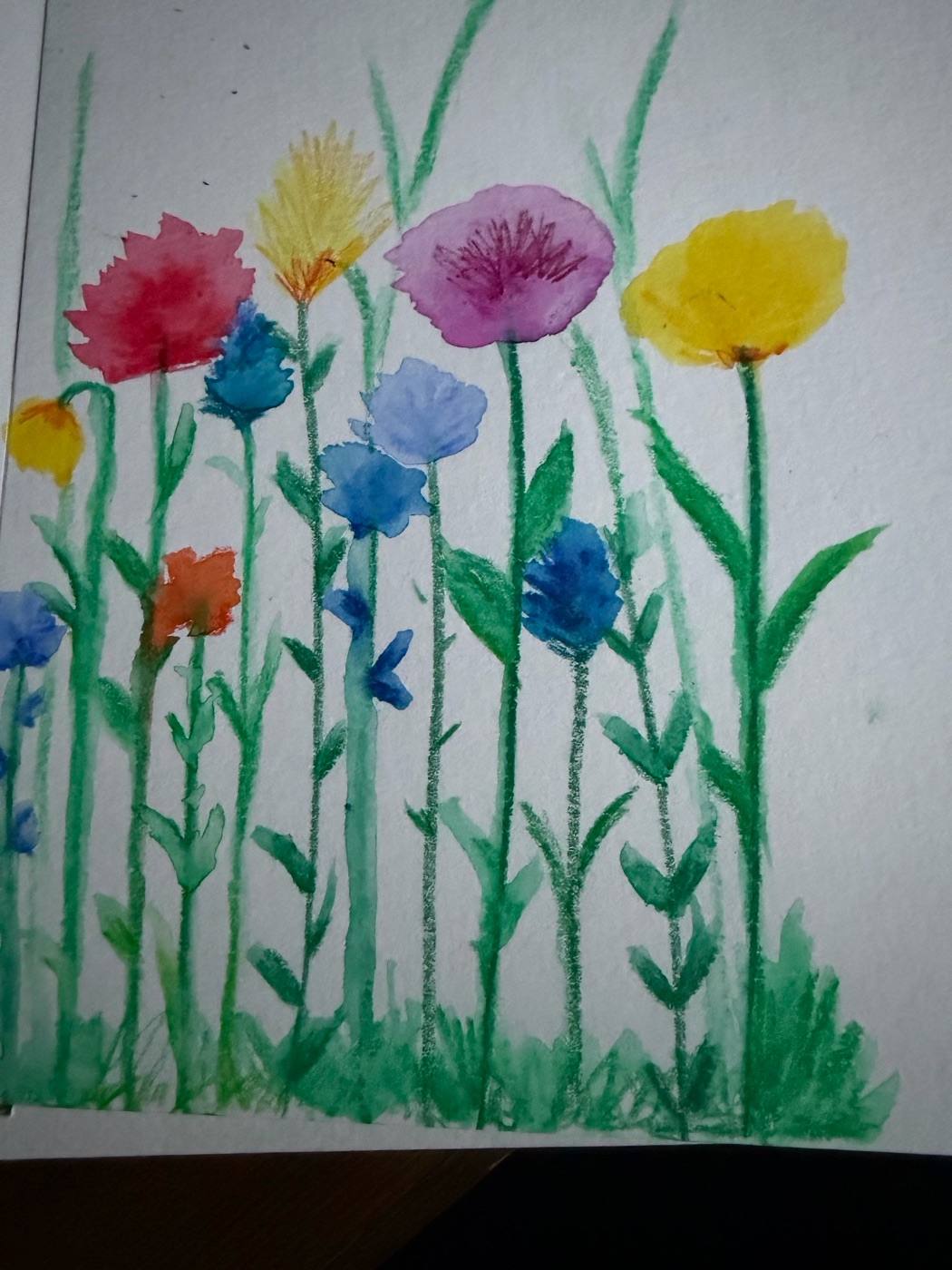 Wildflower meadow