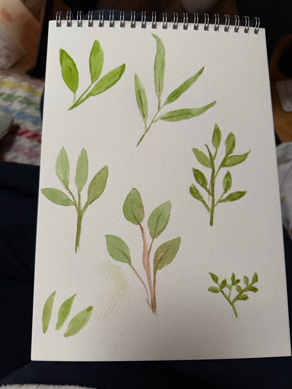 Eight simple leaf shapes
